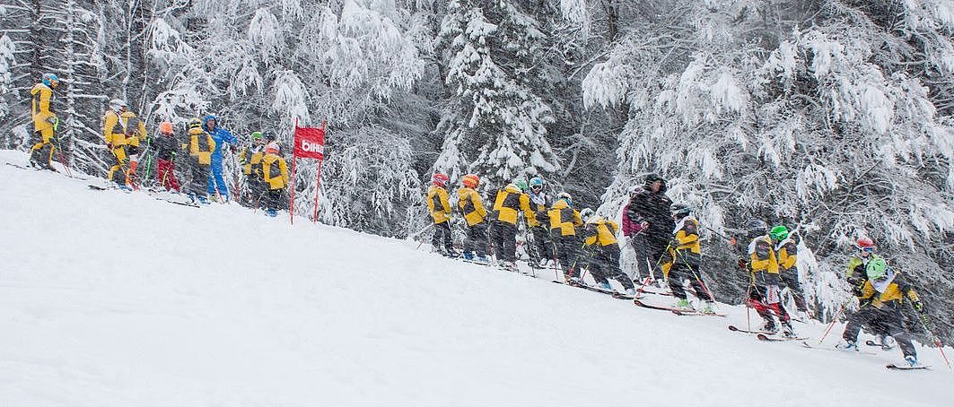 Die Skiclub-Gruppe im verschneiten Winterwald
